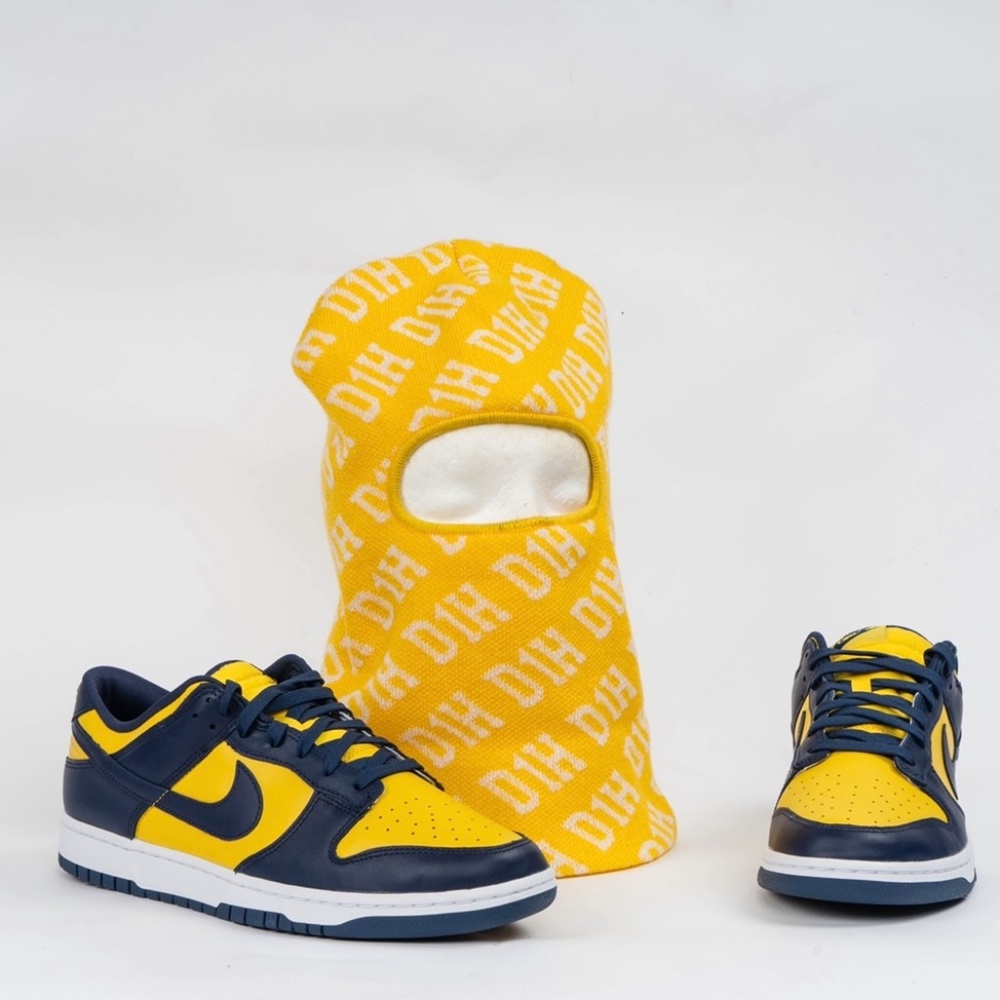 D1H SKI MASK